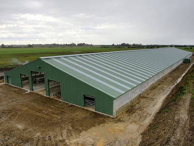 Cow Mill Project i...