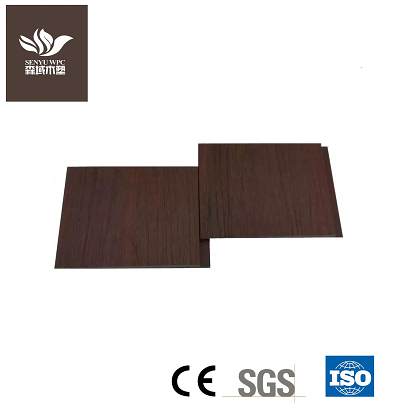 SY145S13 Co-Extrusion Wall Cladding