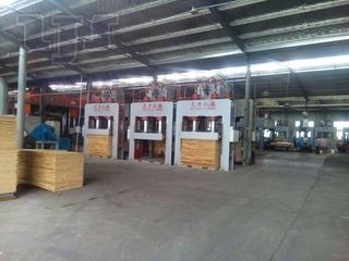 Eucalyptus plywood Production line