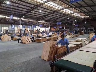 Film faced plywood Production line