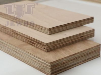 Product Introduction of Eucalyptus plywood