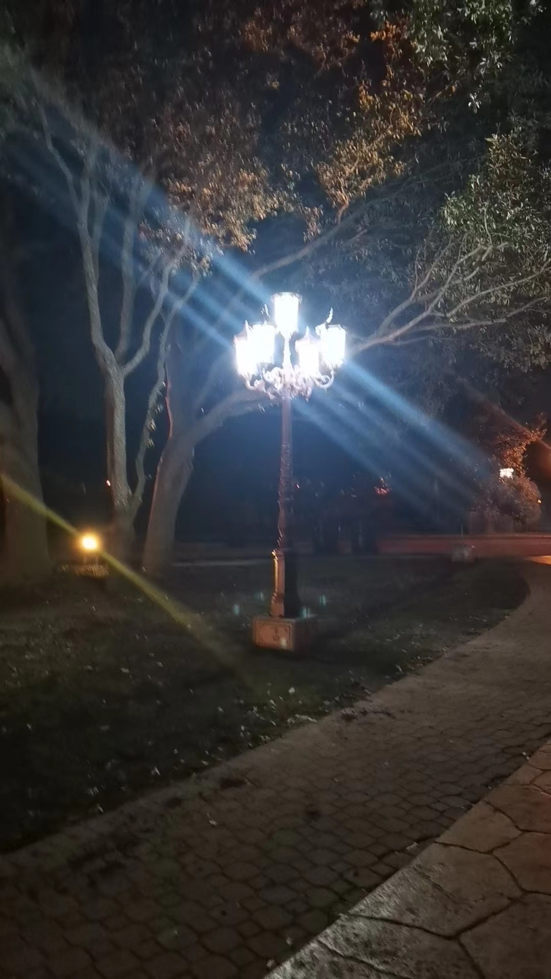 微信图片_20240619105627 United States outdoor lighting — Baifu project view 6