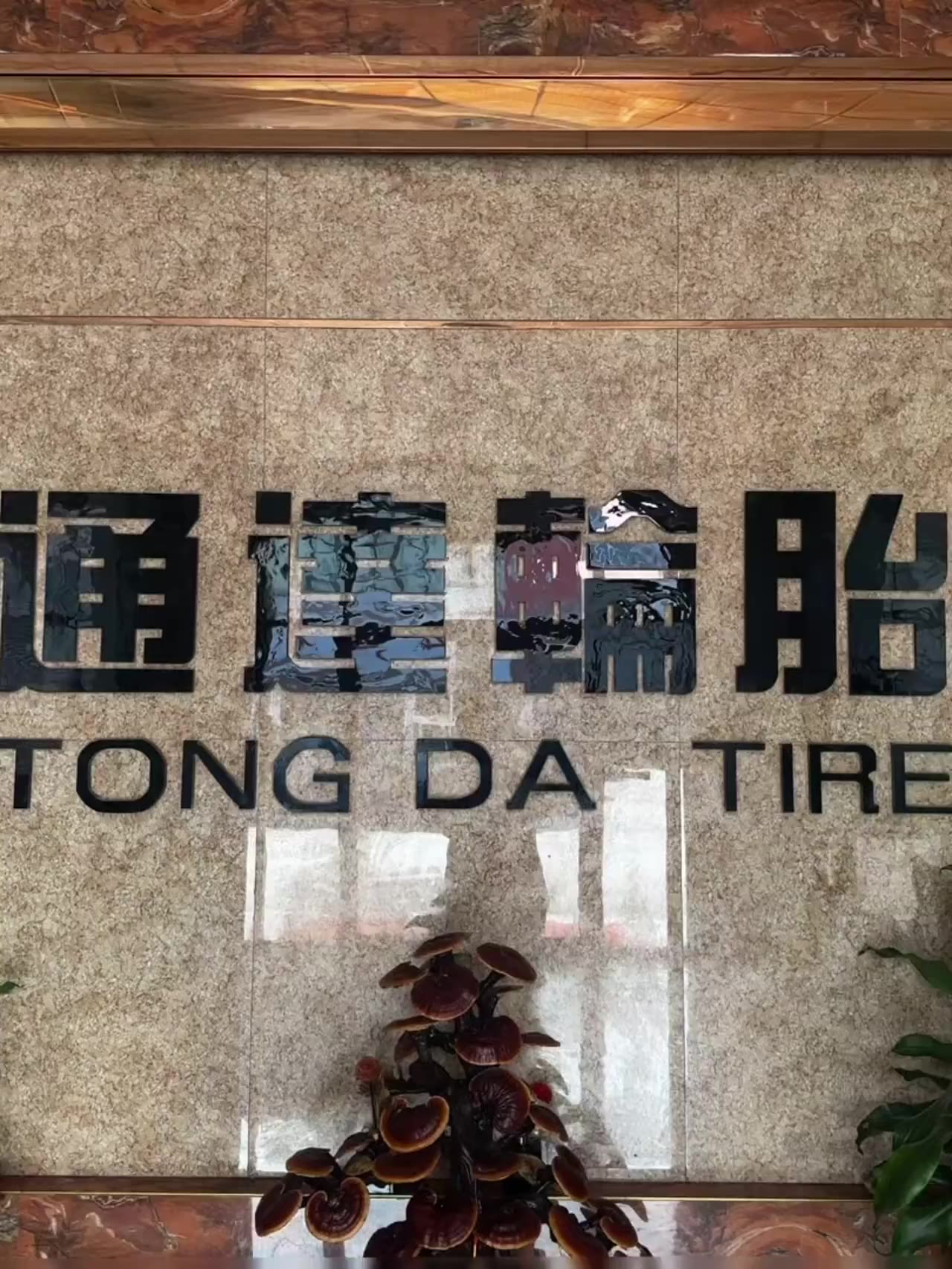 Expanded Production Capacity | Continuously Explore Global OTR Tire Market & Empower Worldwide Partners