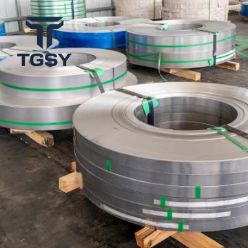 310 Stainless Strip