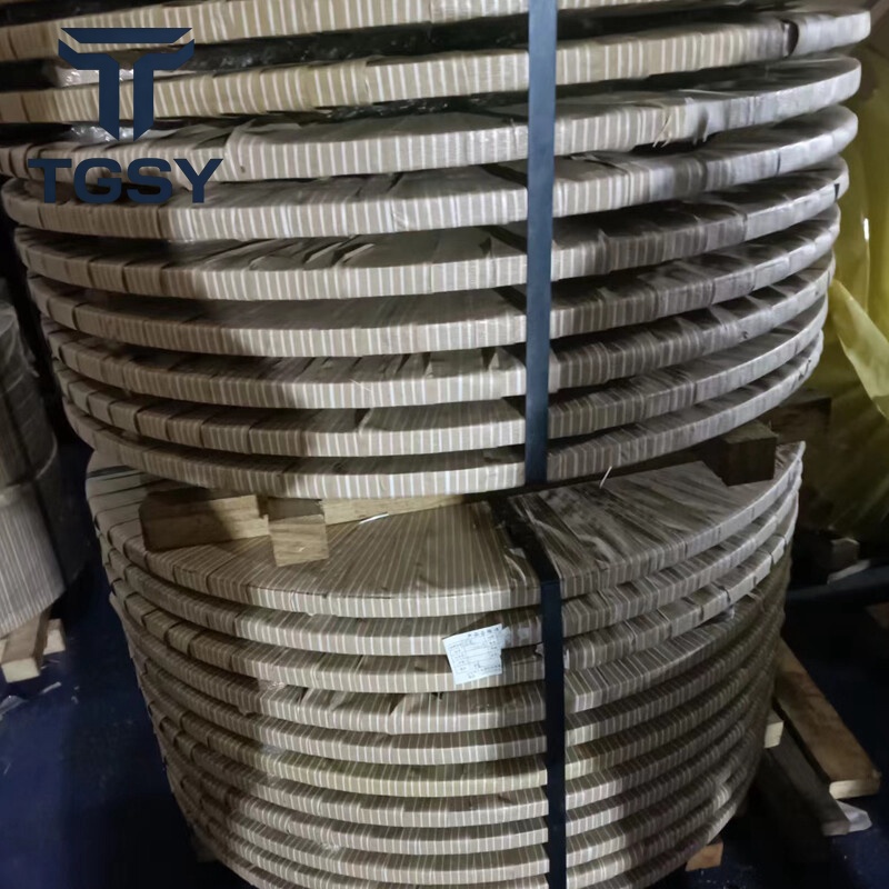 304 Stainless Strip