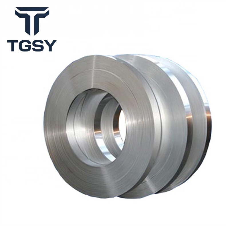 310 Stainless Strip