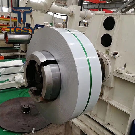 309 Stainless Strip