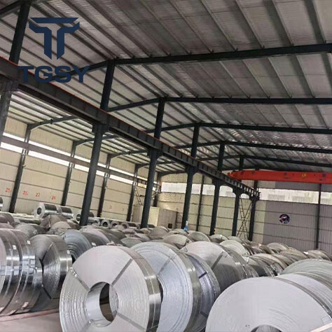 Stainless Strip