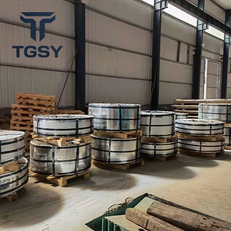 Stainless Strip