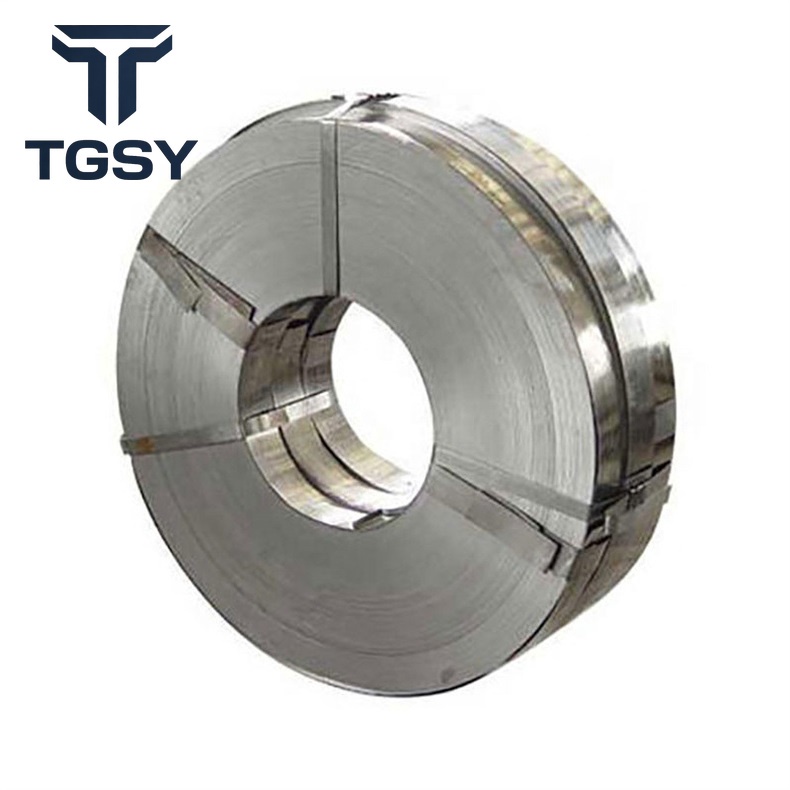 310 Stainless Strip