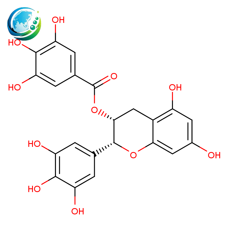 (-)-Epigallocatechin gallate
