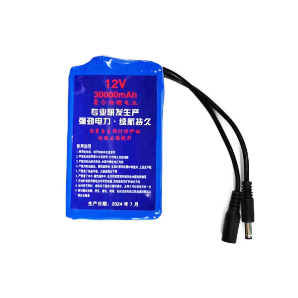12V LED Light Fixture Battery Pack