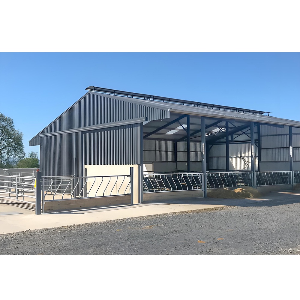 Steel structure farmhouse & livestock shed