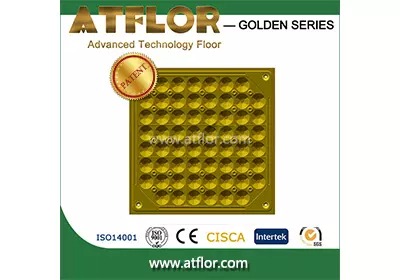 Golden New Bare Finished Steel Raised Access Floor
