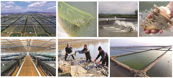 01 Fotos de acuicultura y pesca