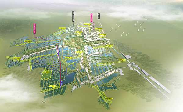 Caso 2 Proyecto integral de remediación de estanques de acuicultura pesquera de Binzhou, Shandong