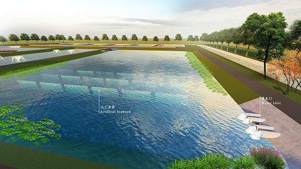 Caso 7 Proyecto de tratamiento de aguas residuales de acuicultura de Dongying, Shandong