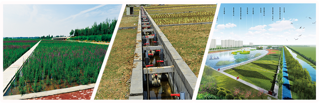 Purificación del agua en humedales construidos de tipo cuenca hidrográfica