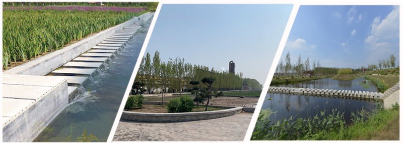 Purificación profunda del efluente de aguas residuales de humedales construidos
