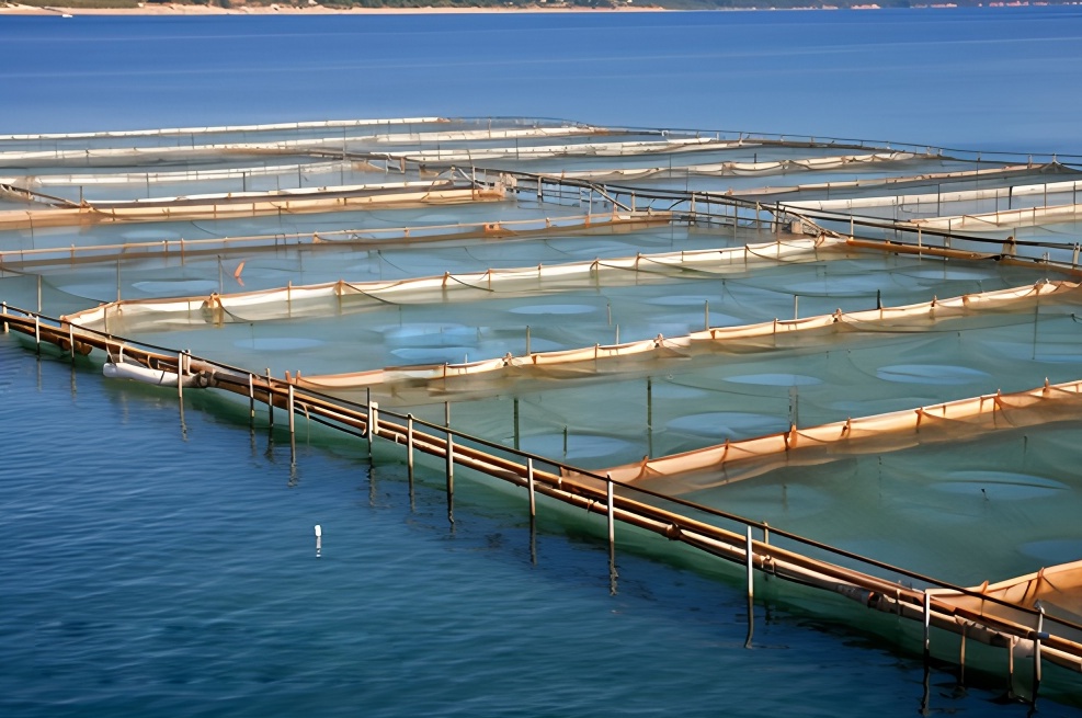  Gestión ecológica del agua residual de la acuicultura marina moderna