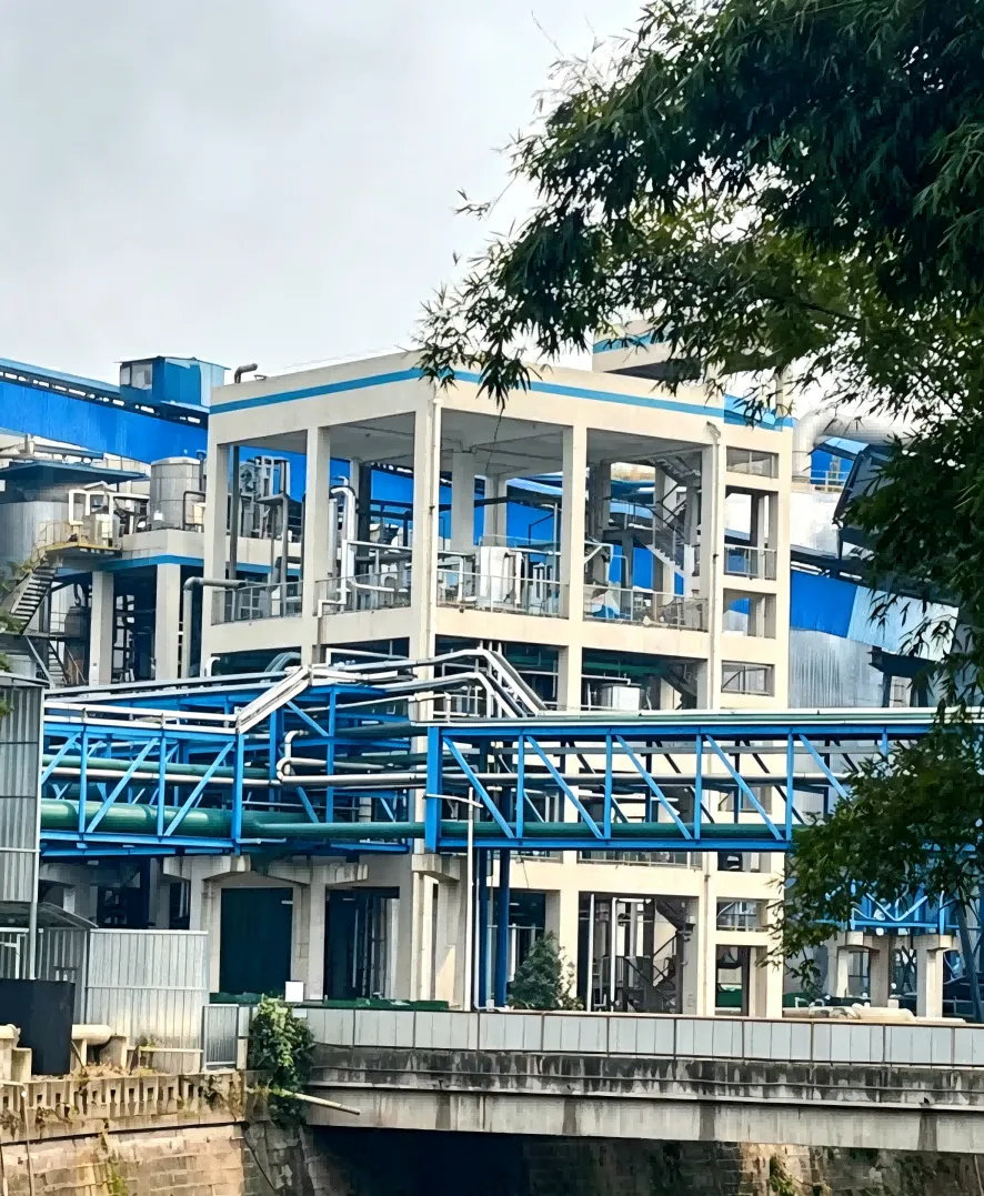 Un Proyecto de Preparación de Dióxido de Cloro de Alta Presión Negativa en Sichuan（b）   Construido en ：2023 Capacidad de Producción：18 tons per day