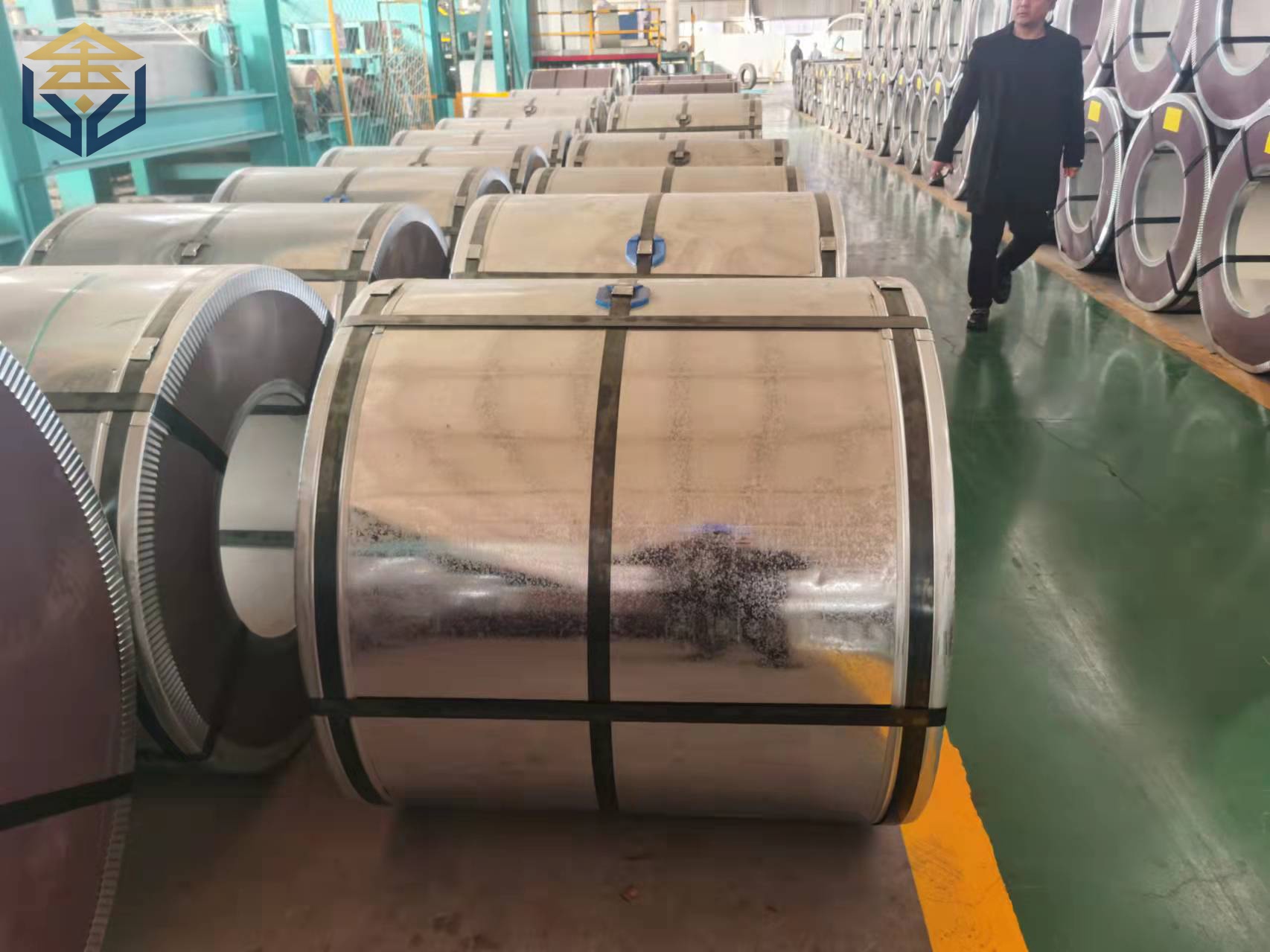 PPGI Coil