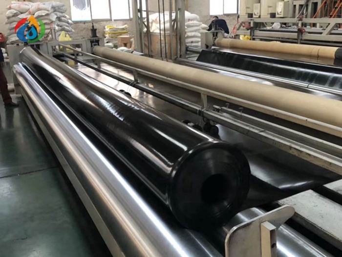 HDPE Geomembrane