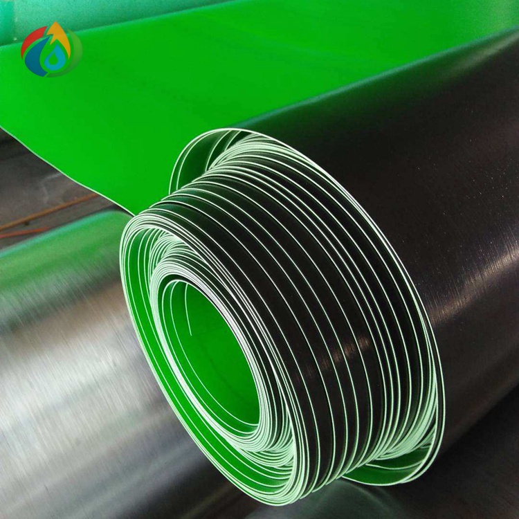 HDPE Geomembrane
