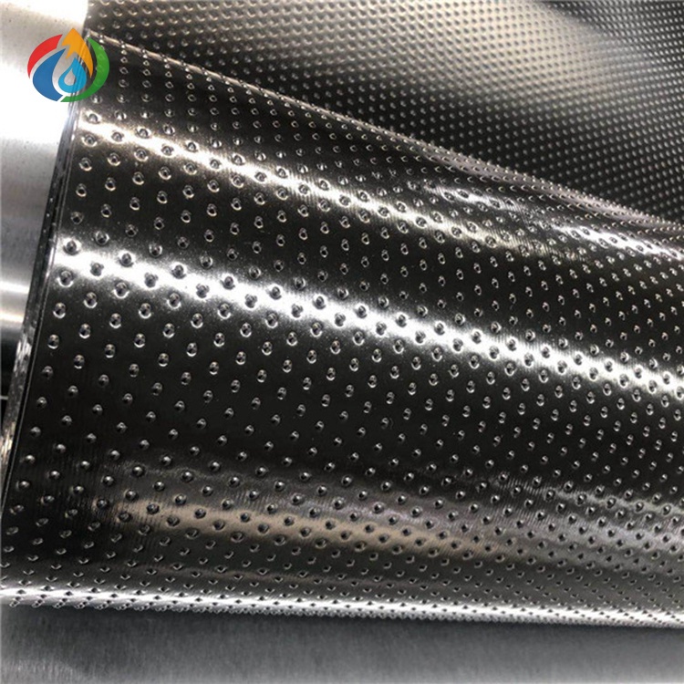 HDPE Geomembrane