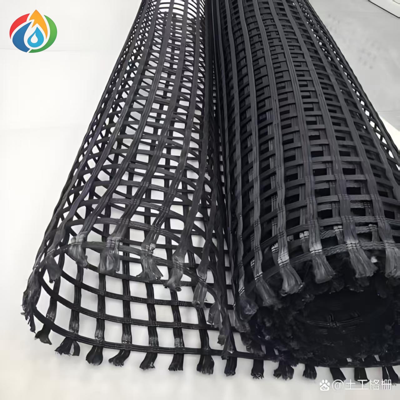 Geogrid