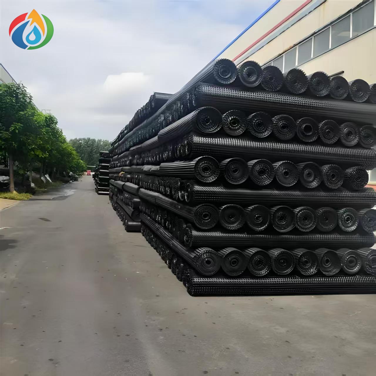 Geogrid
