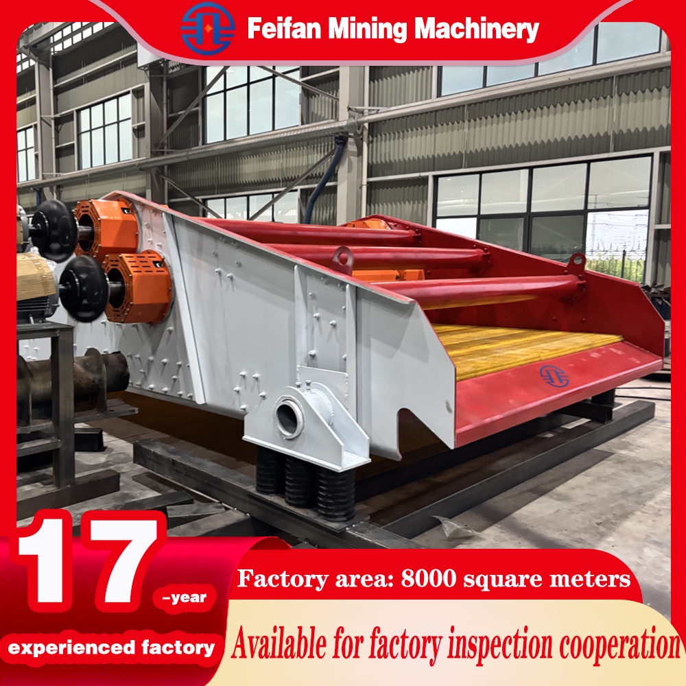 FEIFAN CE Approved High Frequency Dewatering Machine for Mining Sand and Tailings Processing Machine