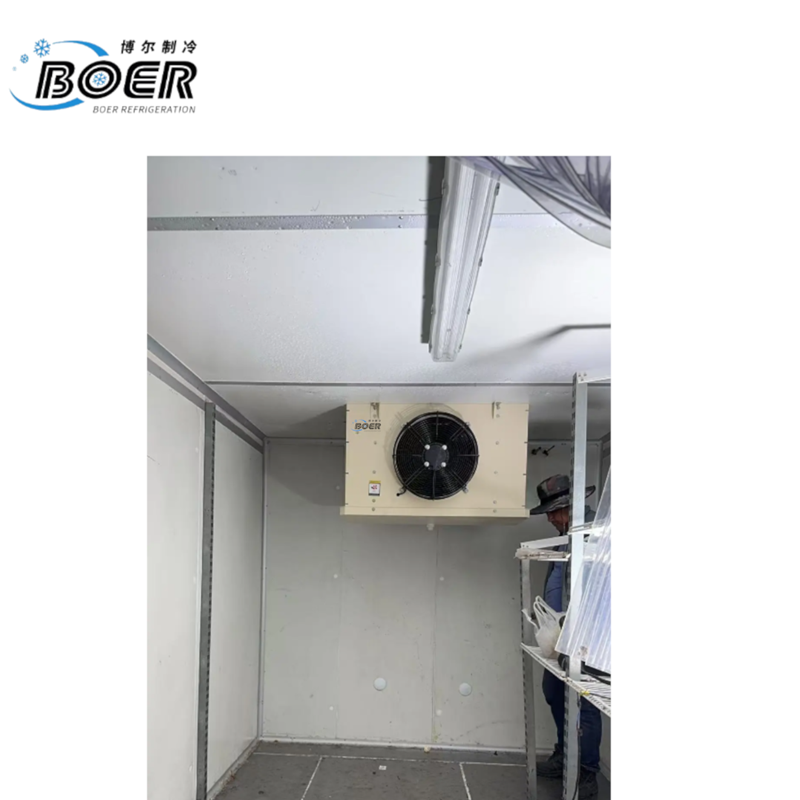 Commercial Ceiling-Mounted Evaporator  4-1-1  401D (4)