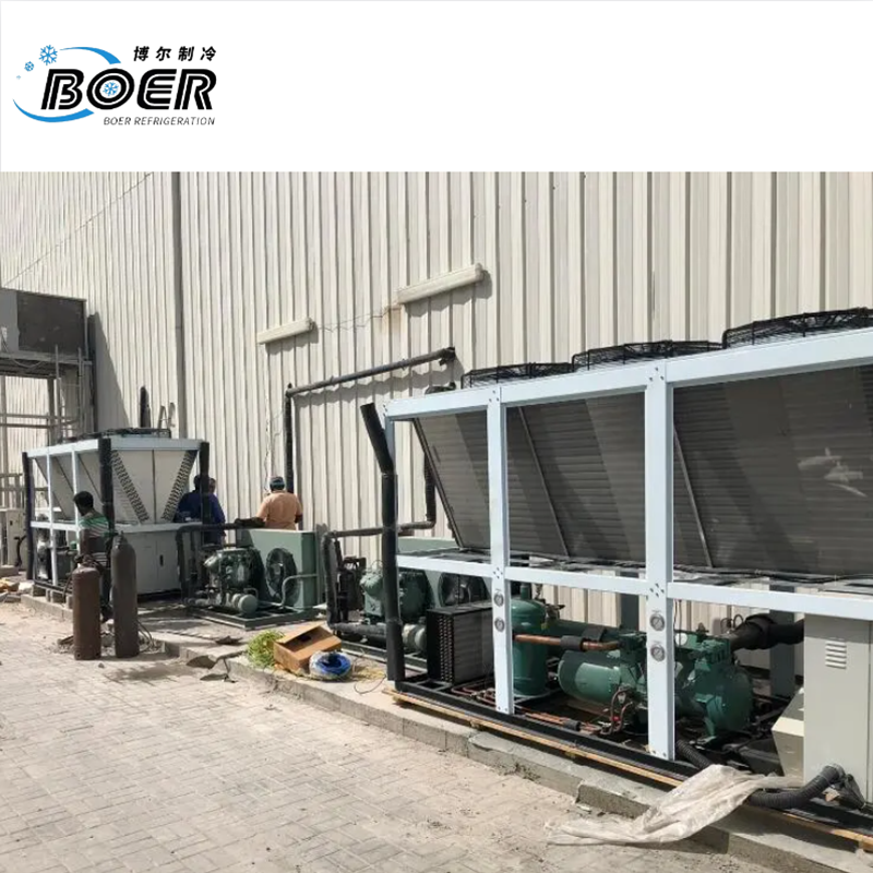 Frozen Cold Storage Unit1-5-1  (2)