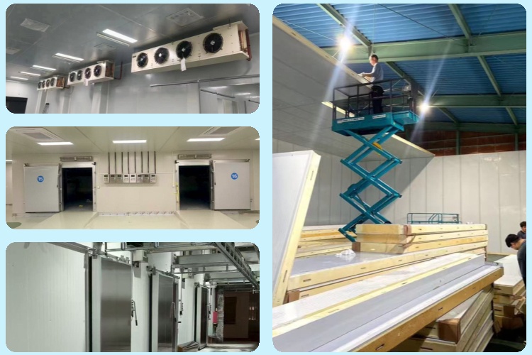 What to Check Before Buying a Display Cold Room for Fresh Food Retail