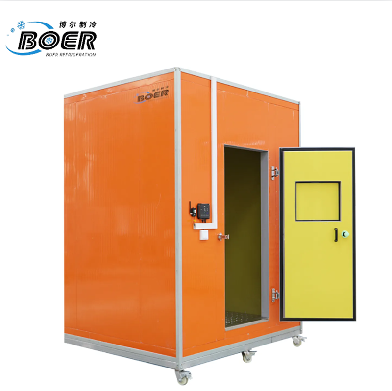 Standard Small Cold Storage Facility  800X800(4)