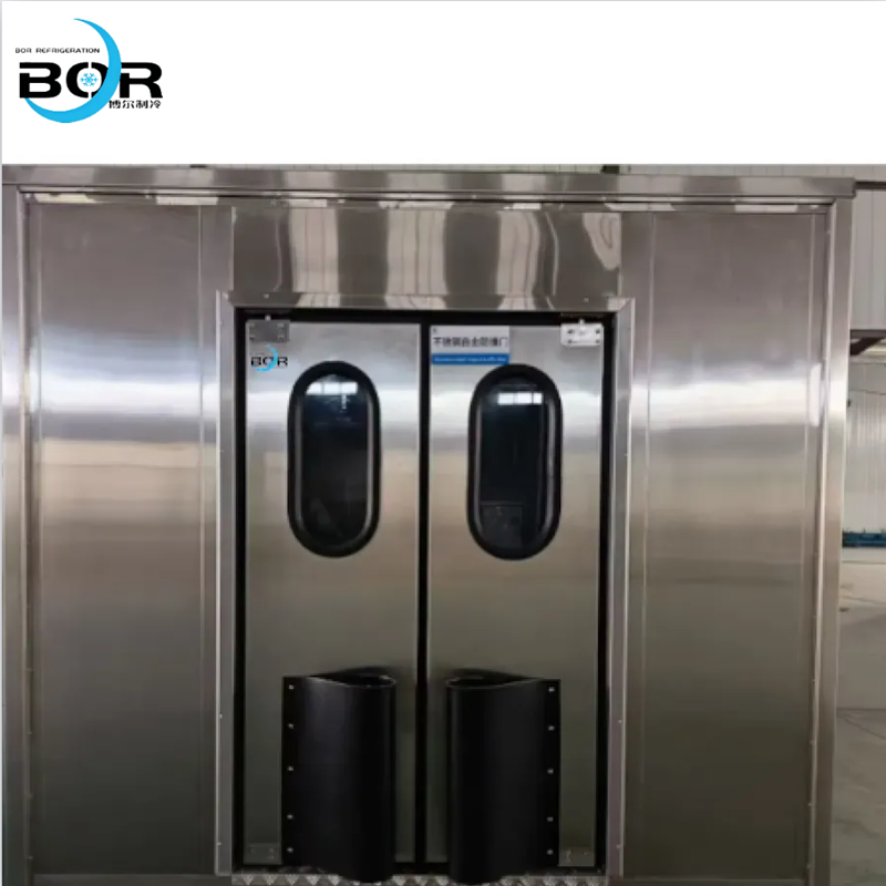 Double-acting Impact Door