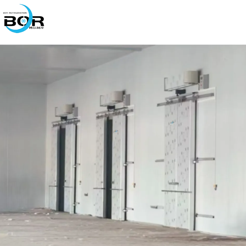 Electric sliding door (specifically for cold storage)