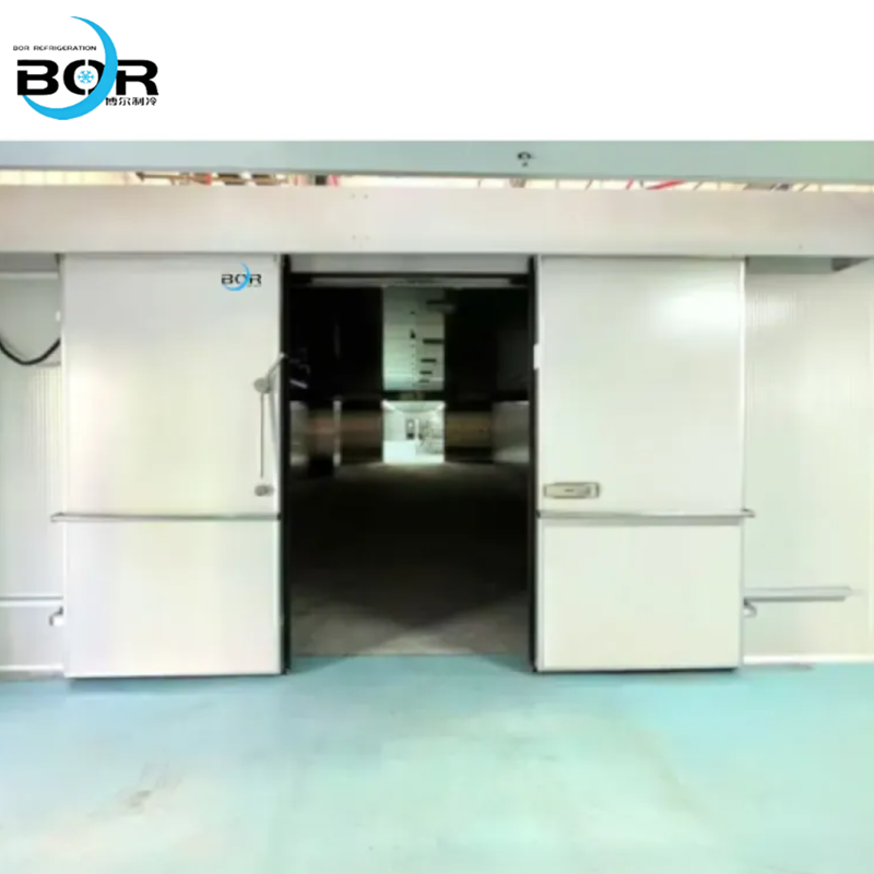 Electric sliding door (specifically for cold storage)