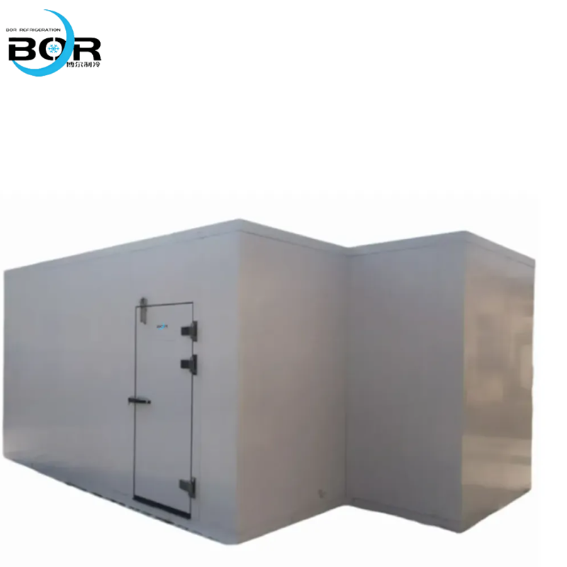 Fully concealed hinge door