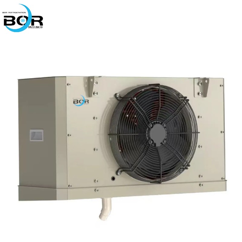 800x800(2 800x800(2