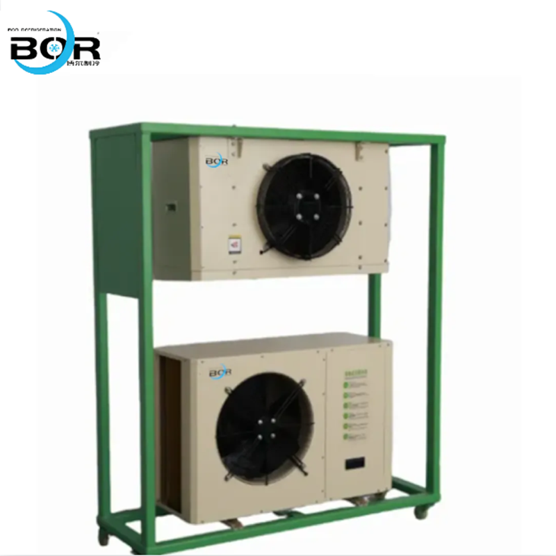 Integrated Cold Storage Cold Source 