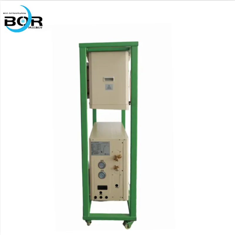 Integrated Cold Storage Cold Source 