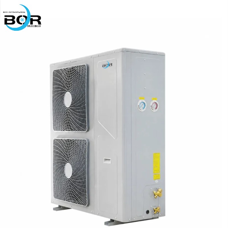 800x800(1 800x800(1