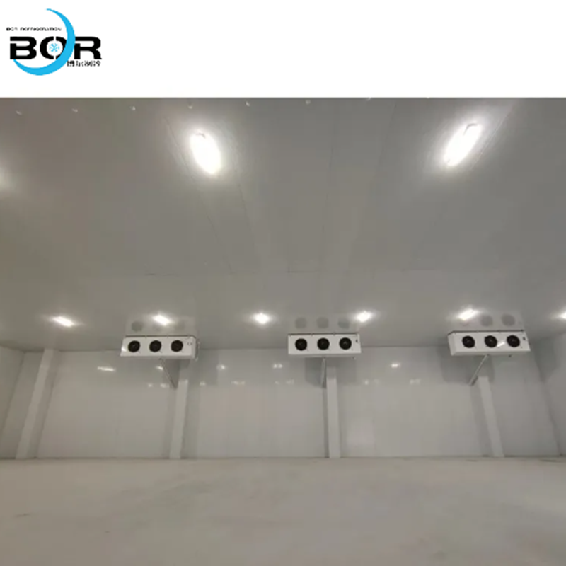 Cold Chain Logistics Cold Storage and Functional Cold Storage