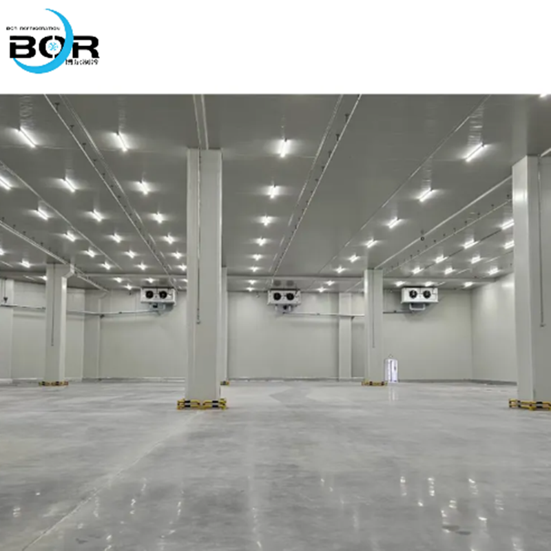 Cold Chain Logistics Cold Storage and Functional Cold Storage