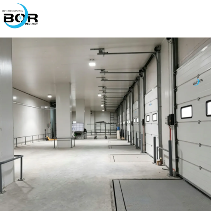 Cold Chain Logistics Cold Storage and Functional Cold Storage