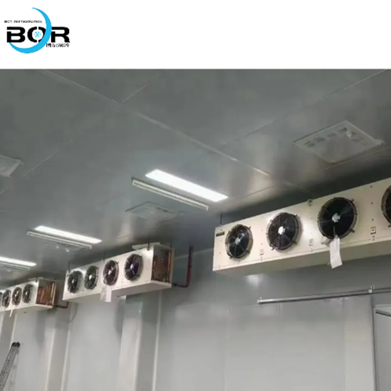 Cold Chain Logistics Cold Storage and Functional Cold Storage