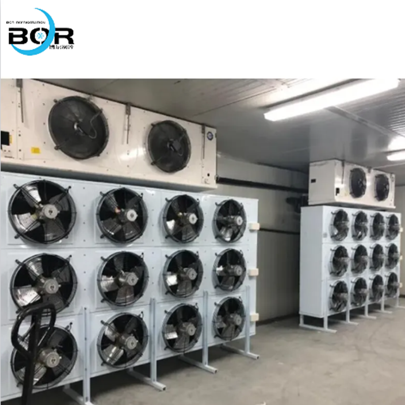Blast Freezing Room