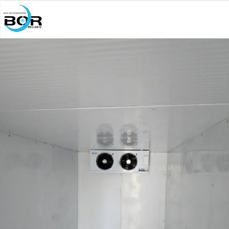 Containerized Cold Storage